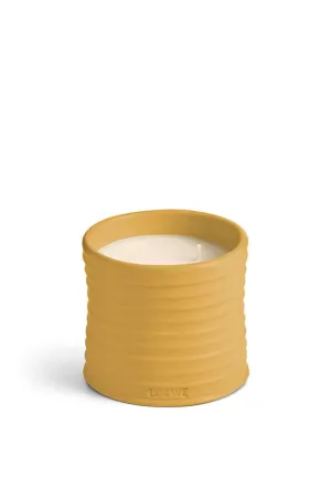 Large Wasabi Candle